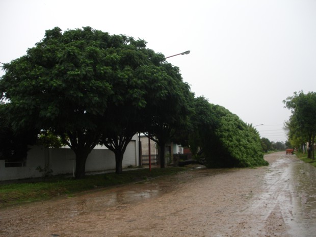 Temporal Guatraché - 30012011 - II