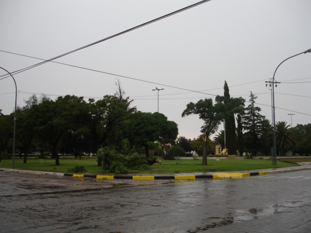 Temporal Guatraché - 30012011 - IV