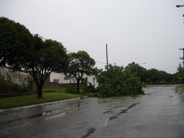Temporal Guatraché - 30012011 - IX