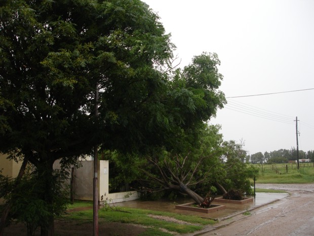Temporal Guatraché - 30012011 - V