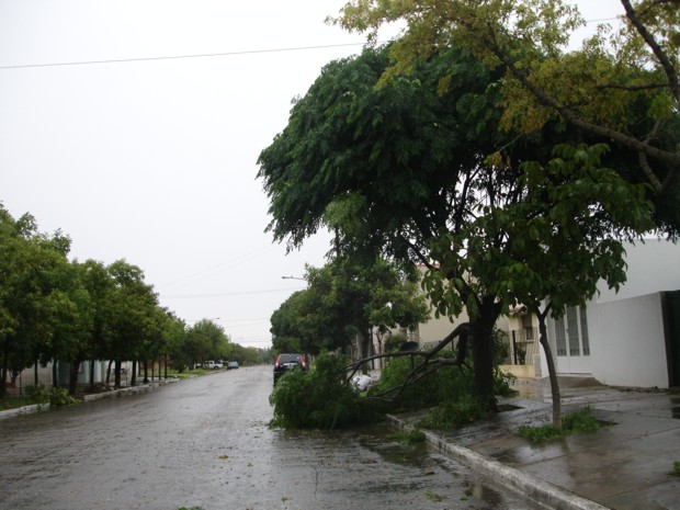Temporal Guatraché - 30012011 - VIII