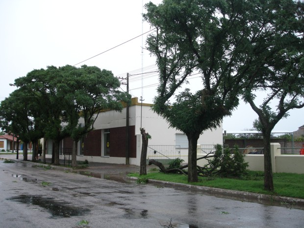 Temporal Guatraché - 30012011 - XI