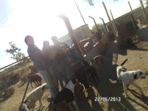 refugio