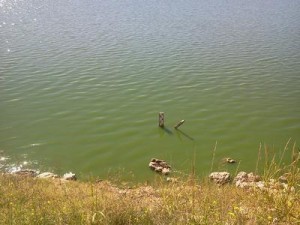Laguna-21-03