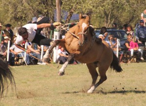 lacaida