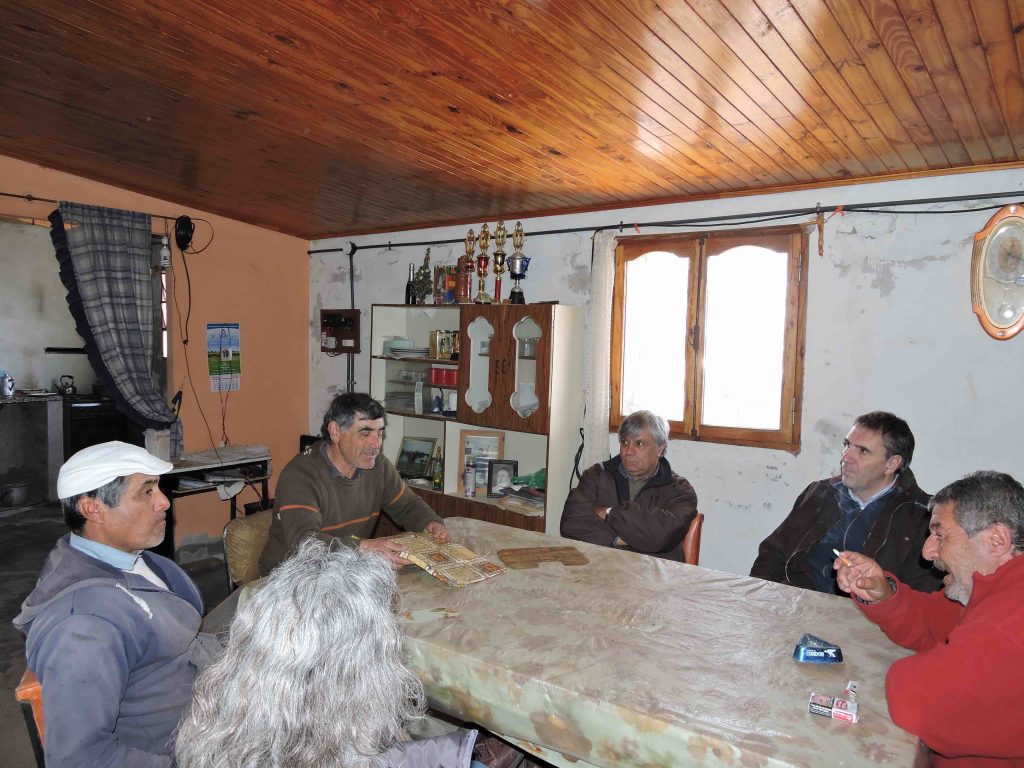 TINDIGLIA