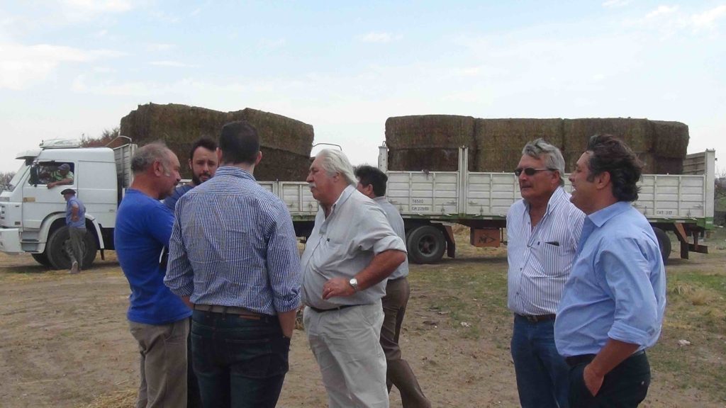 ENTREGA DE FARDOS 1